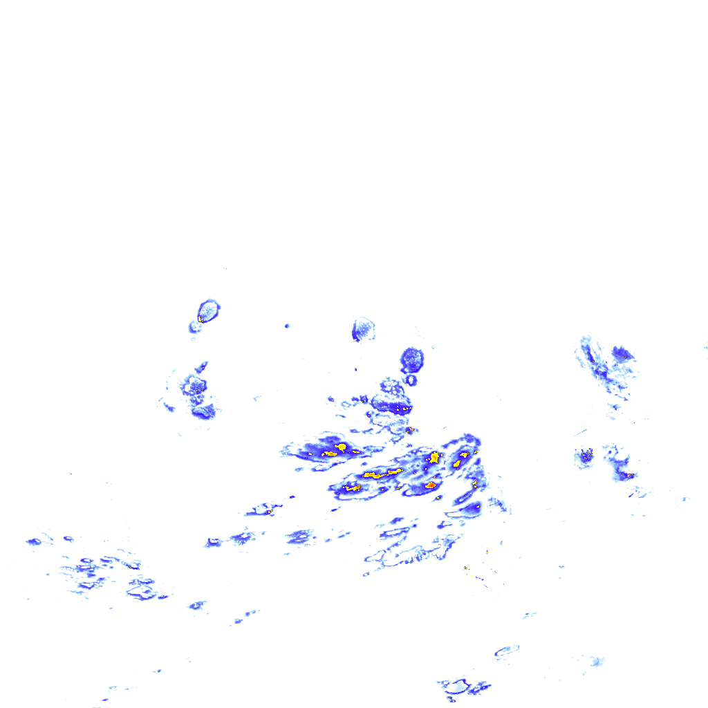 rainLayer