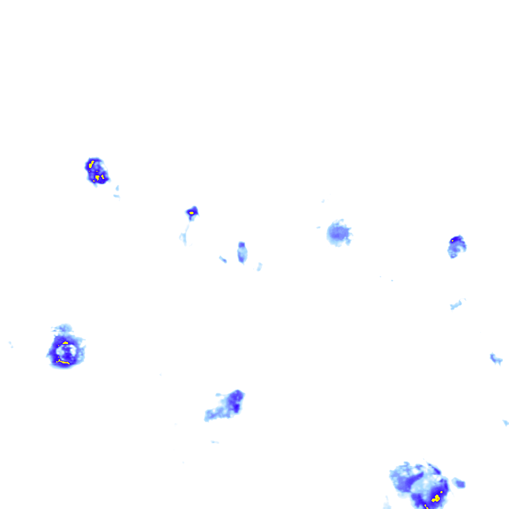 rainLayer