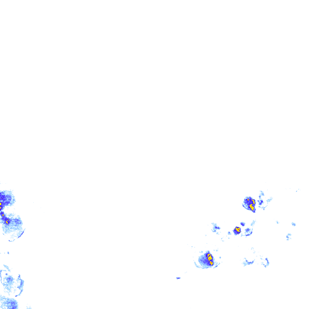 rainLayer