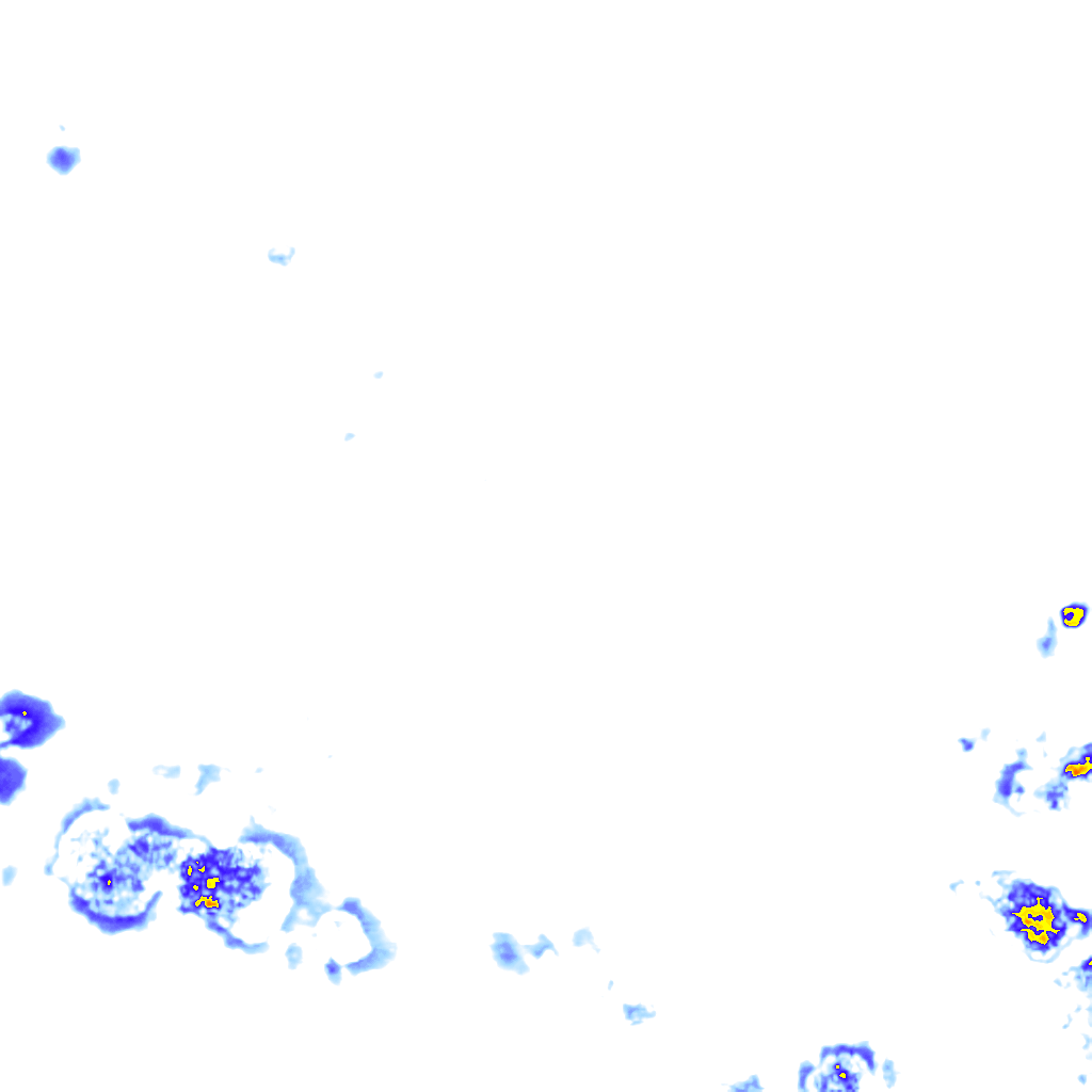 rainLayer