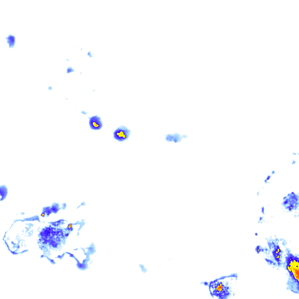 rainLayer