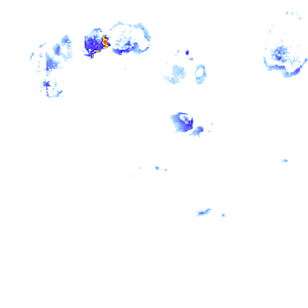 rainLayer