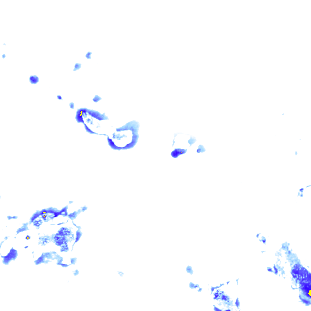 rainLayer