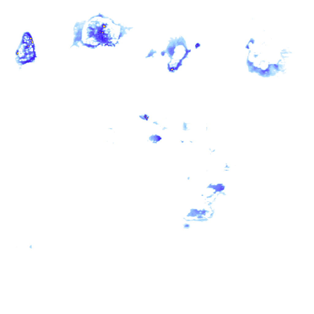 Image Layer