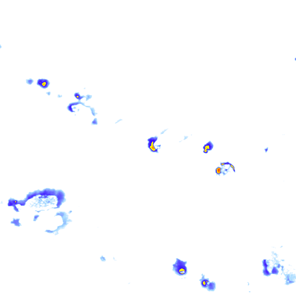 rainLayer