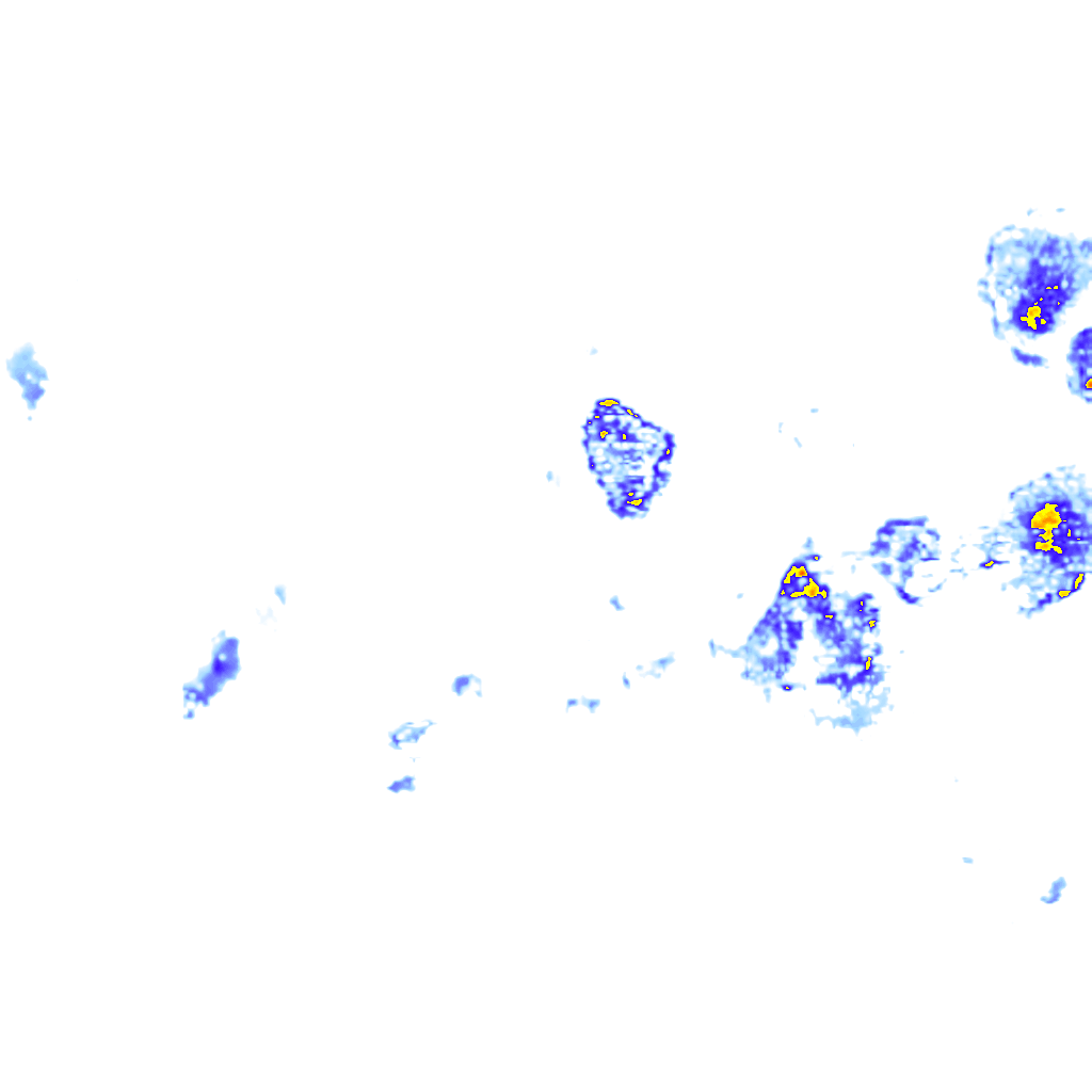 rainLayer