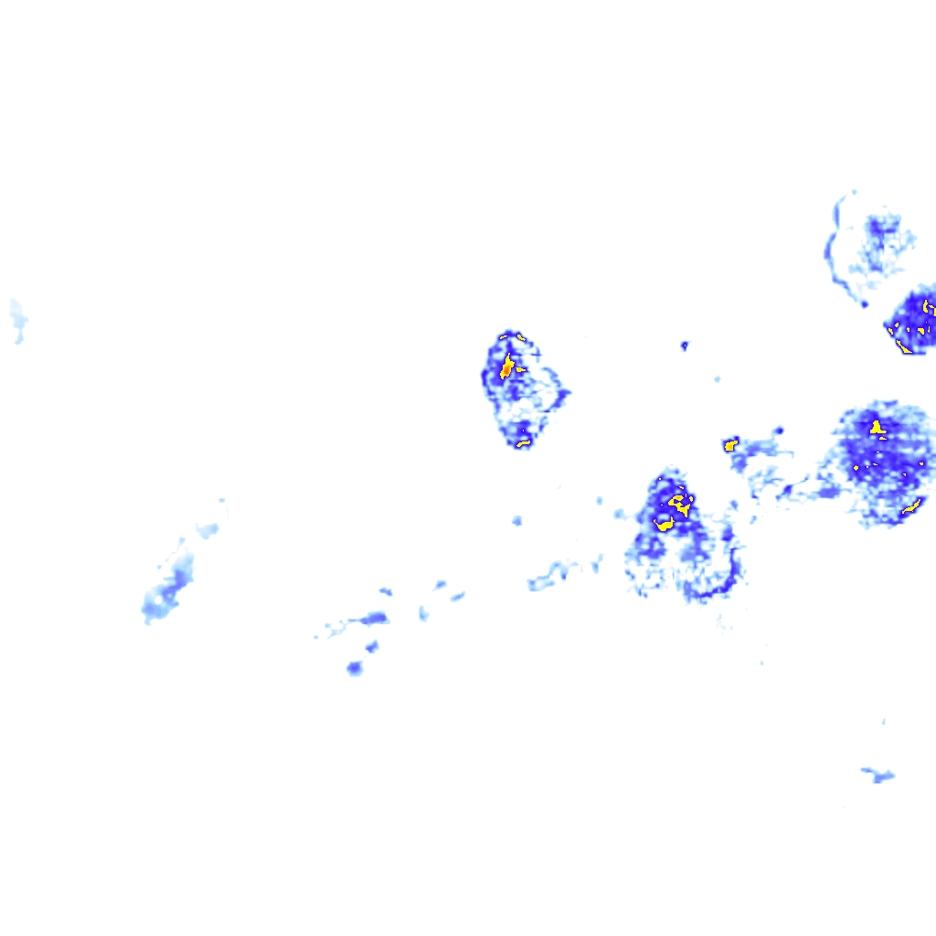 rainLayer