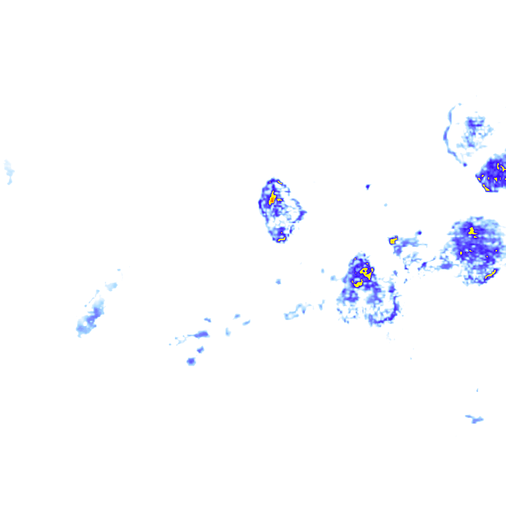 rainLayer