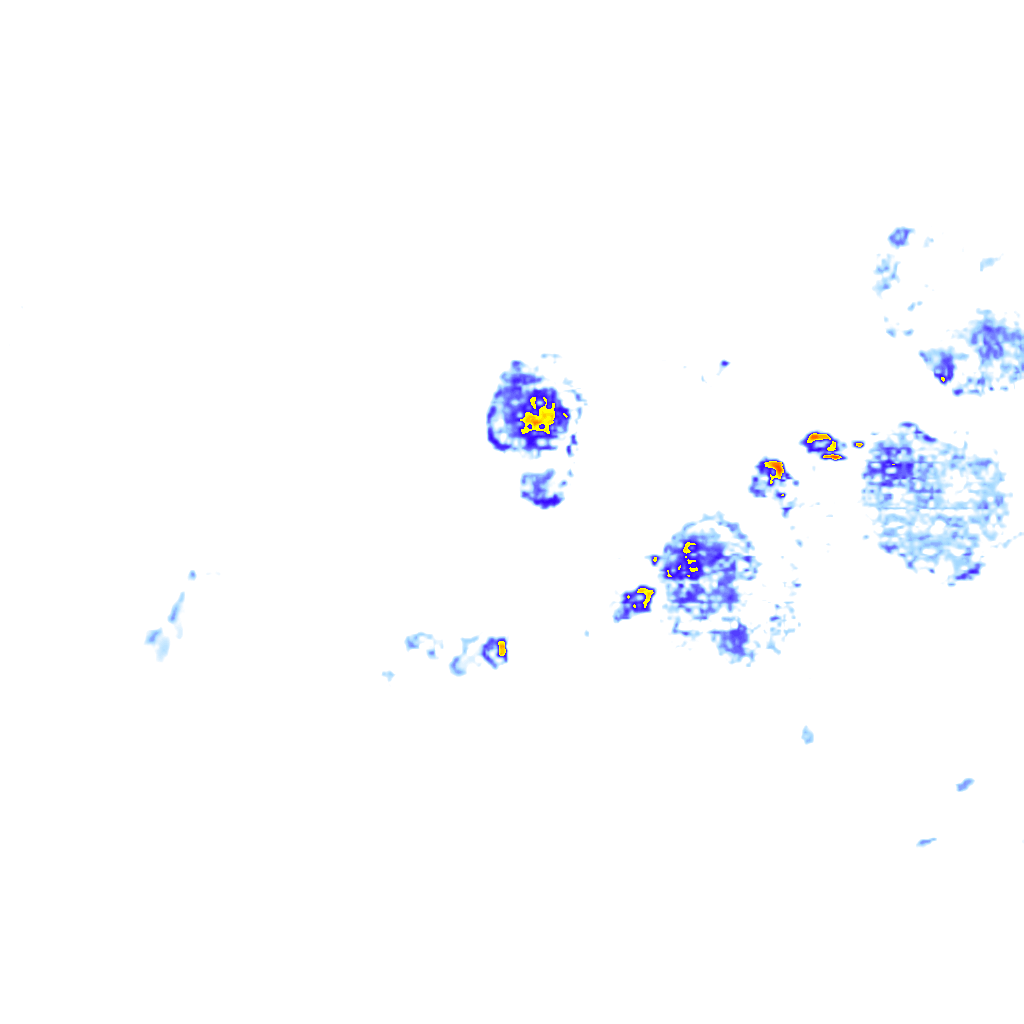 rainLayer