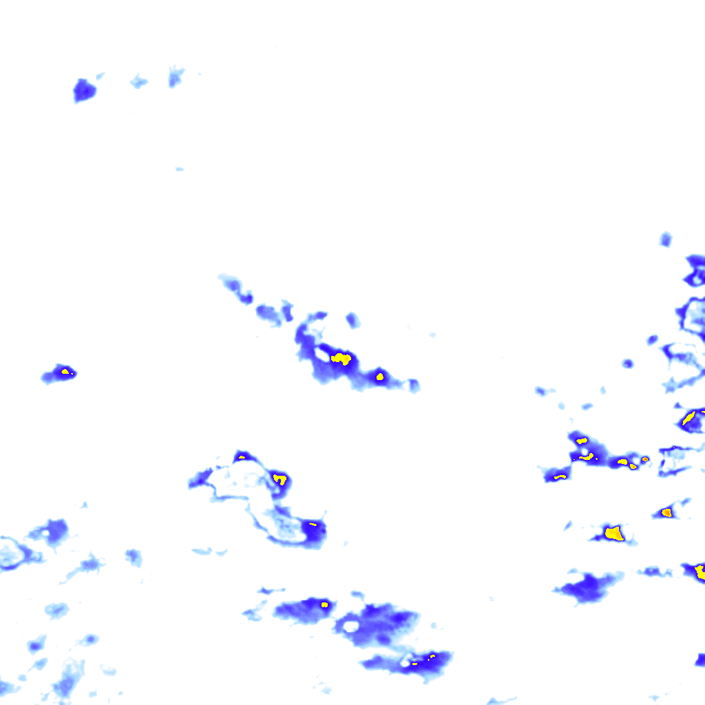 rainLayer