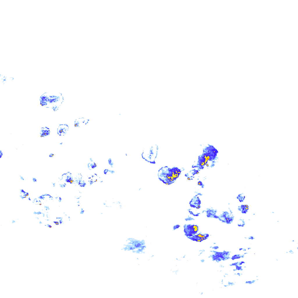 rainLayer