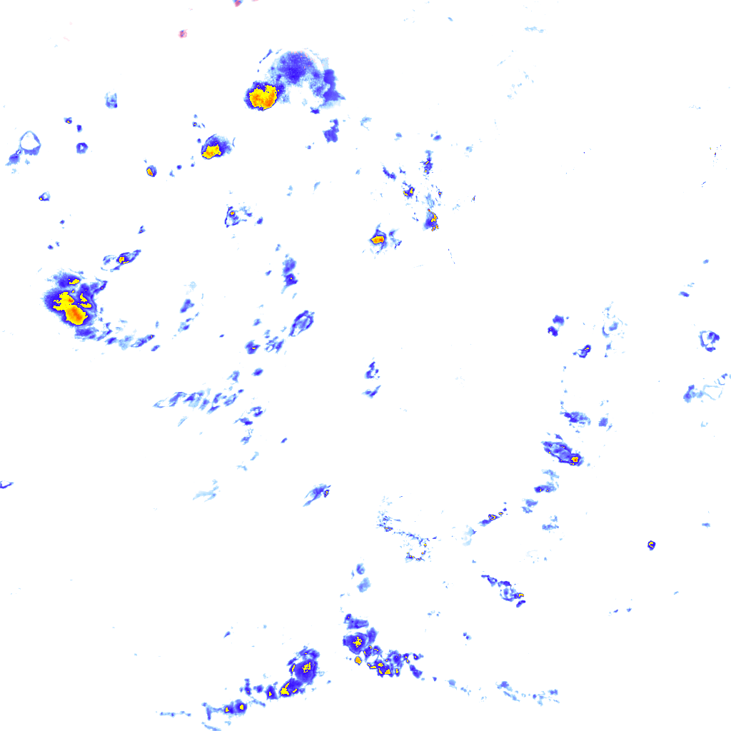rainLayer