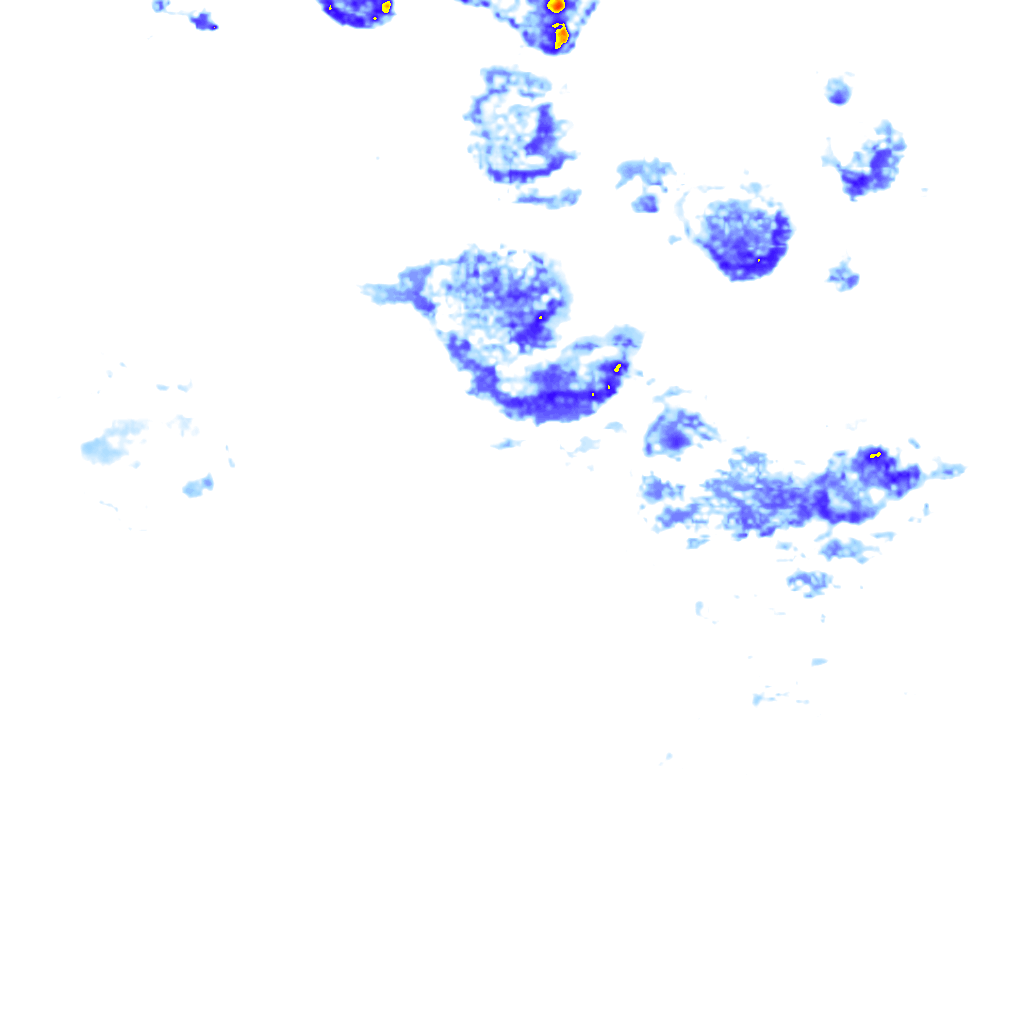 rainLayer