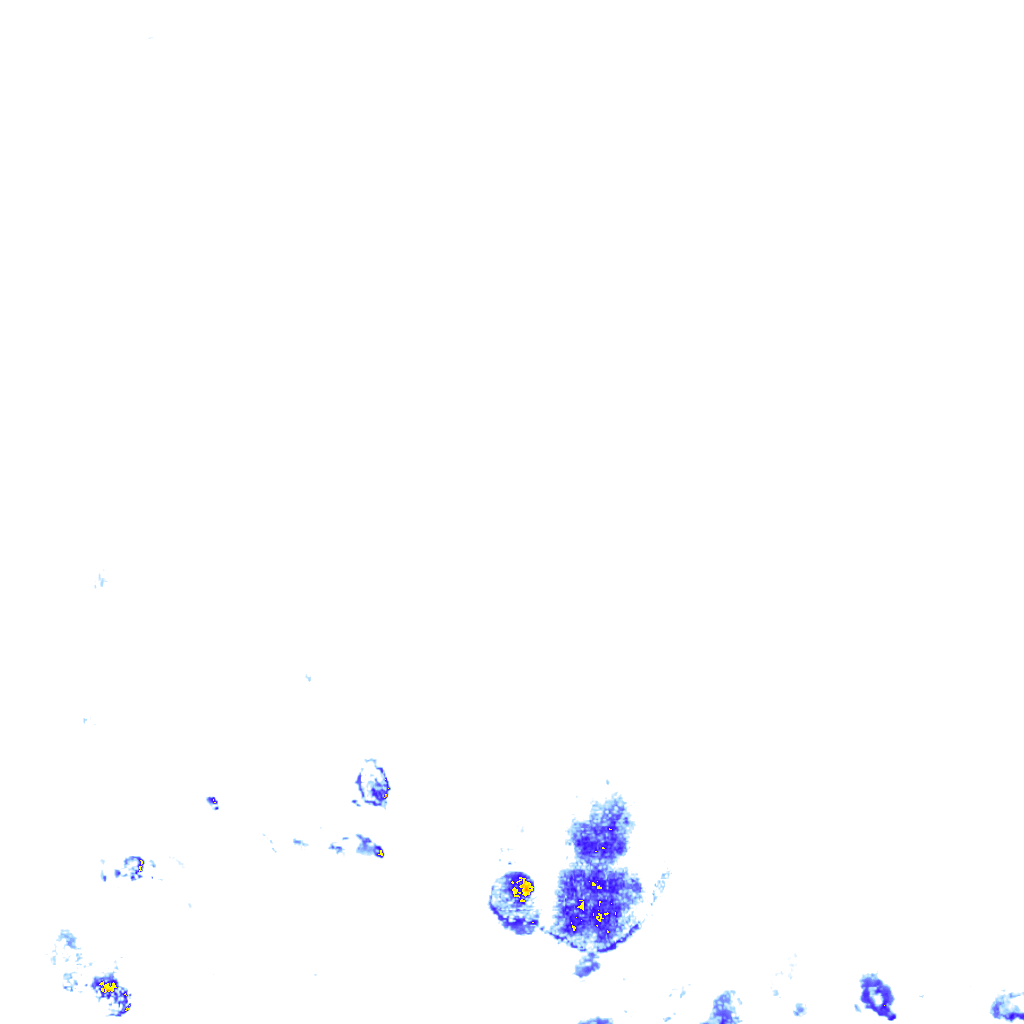 rainLayer