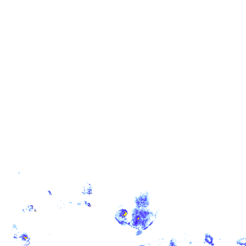 rainLayer