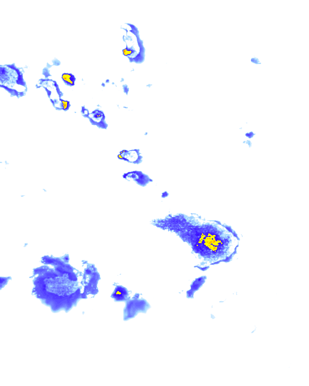 rainLayer