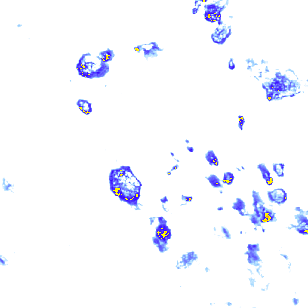 Image Layer