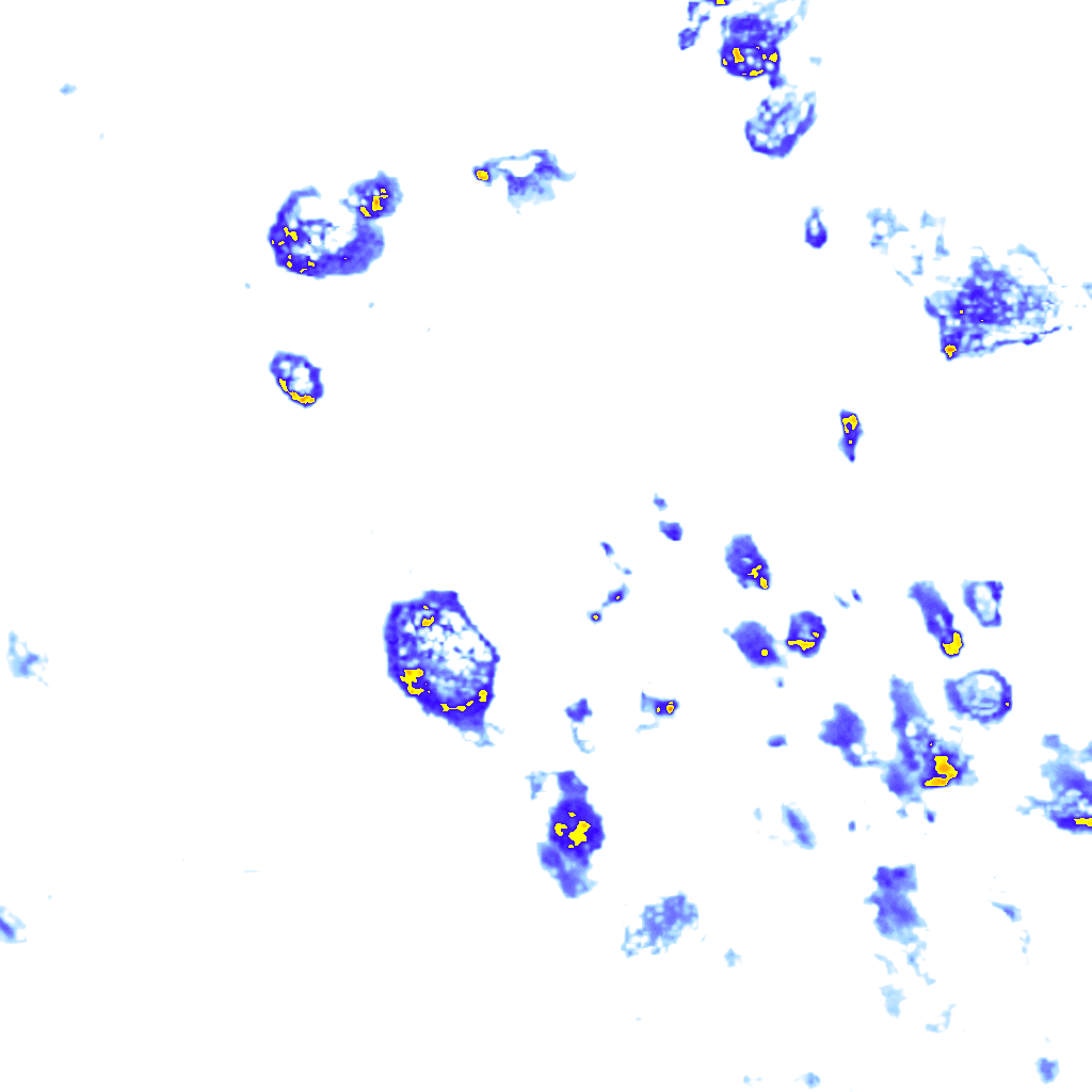 Image Layer