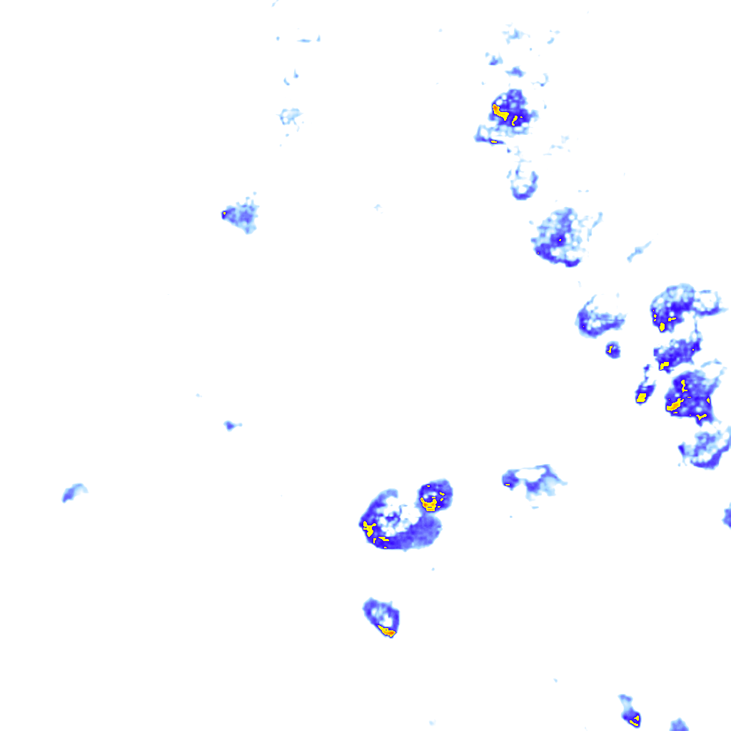 rainLayer