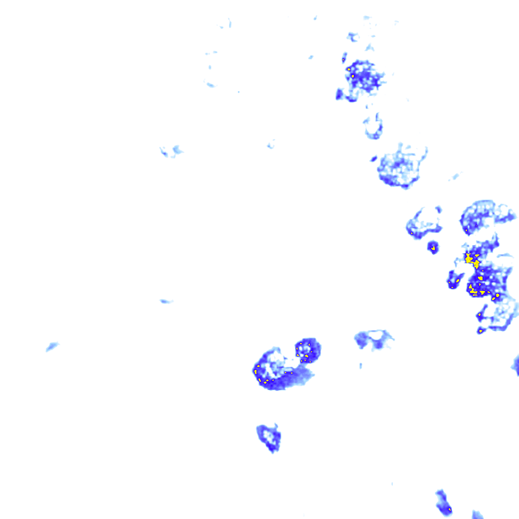 rainLayer