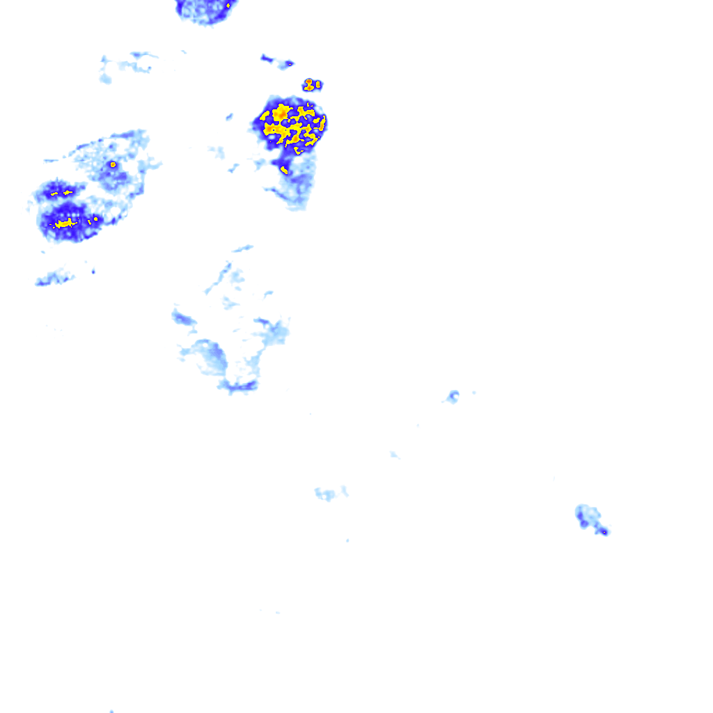 rainLayer