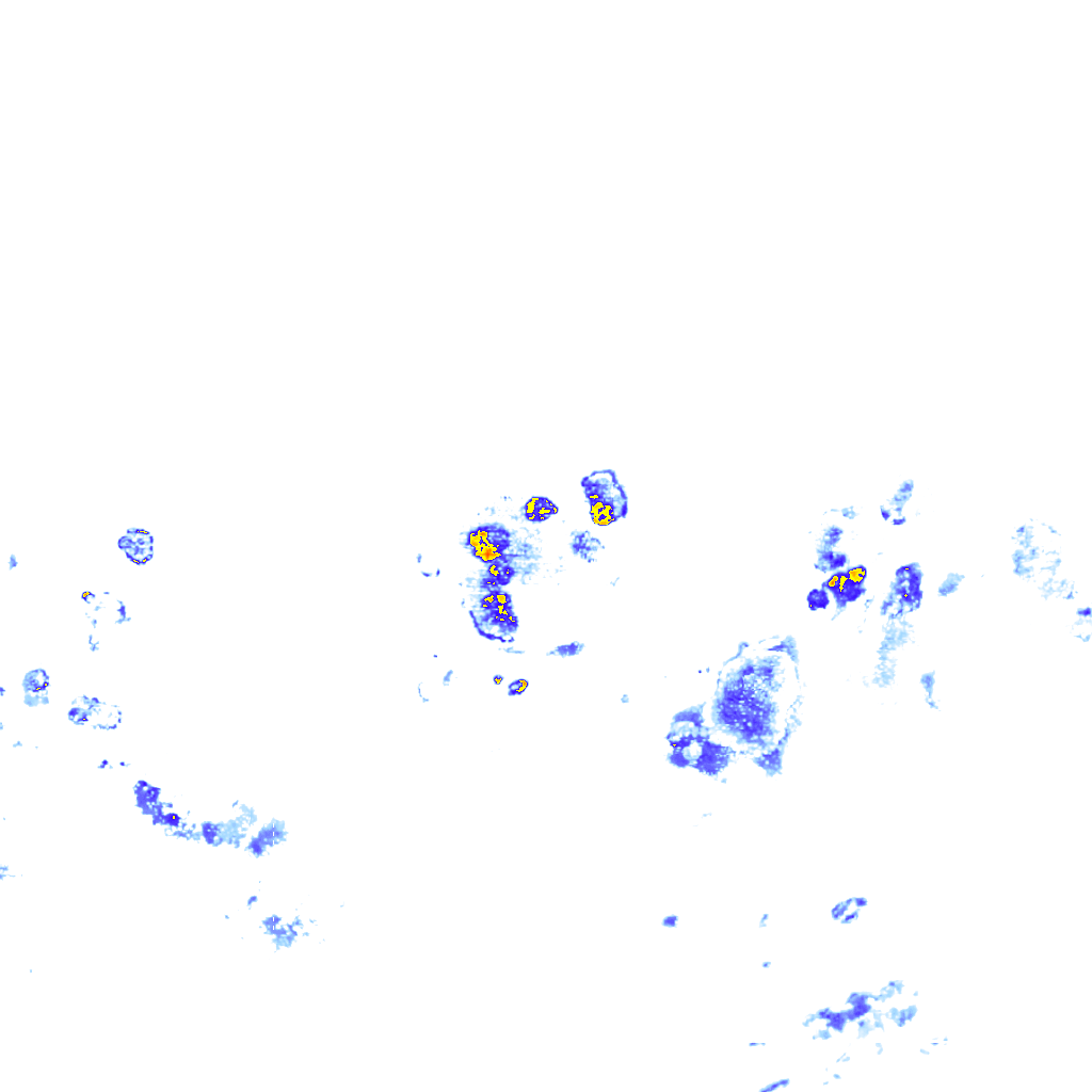 rainLayer
