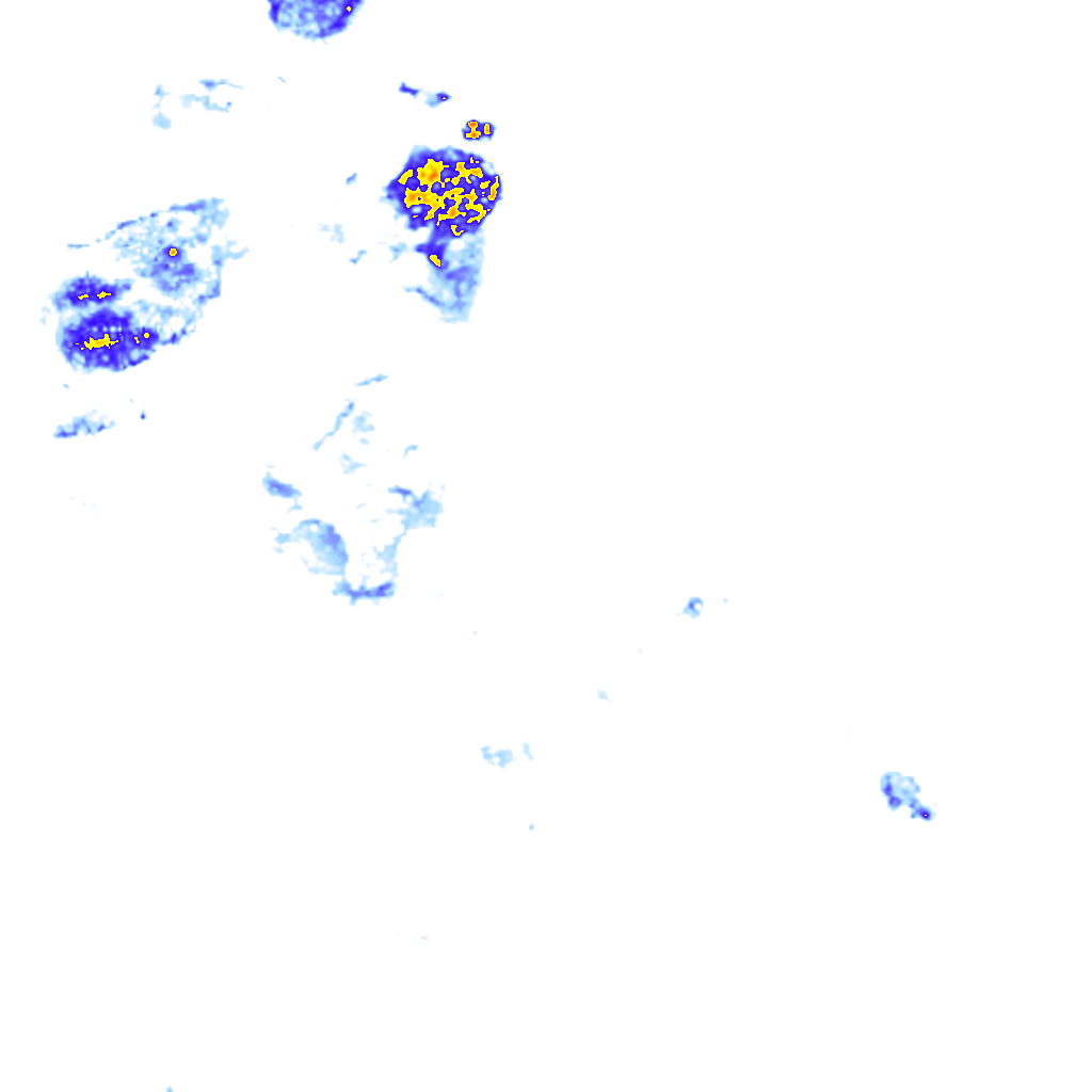 rainLayer