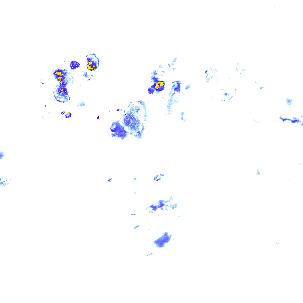 rainLayer