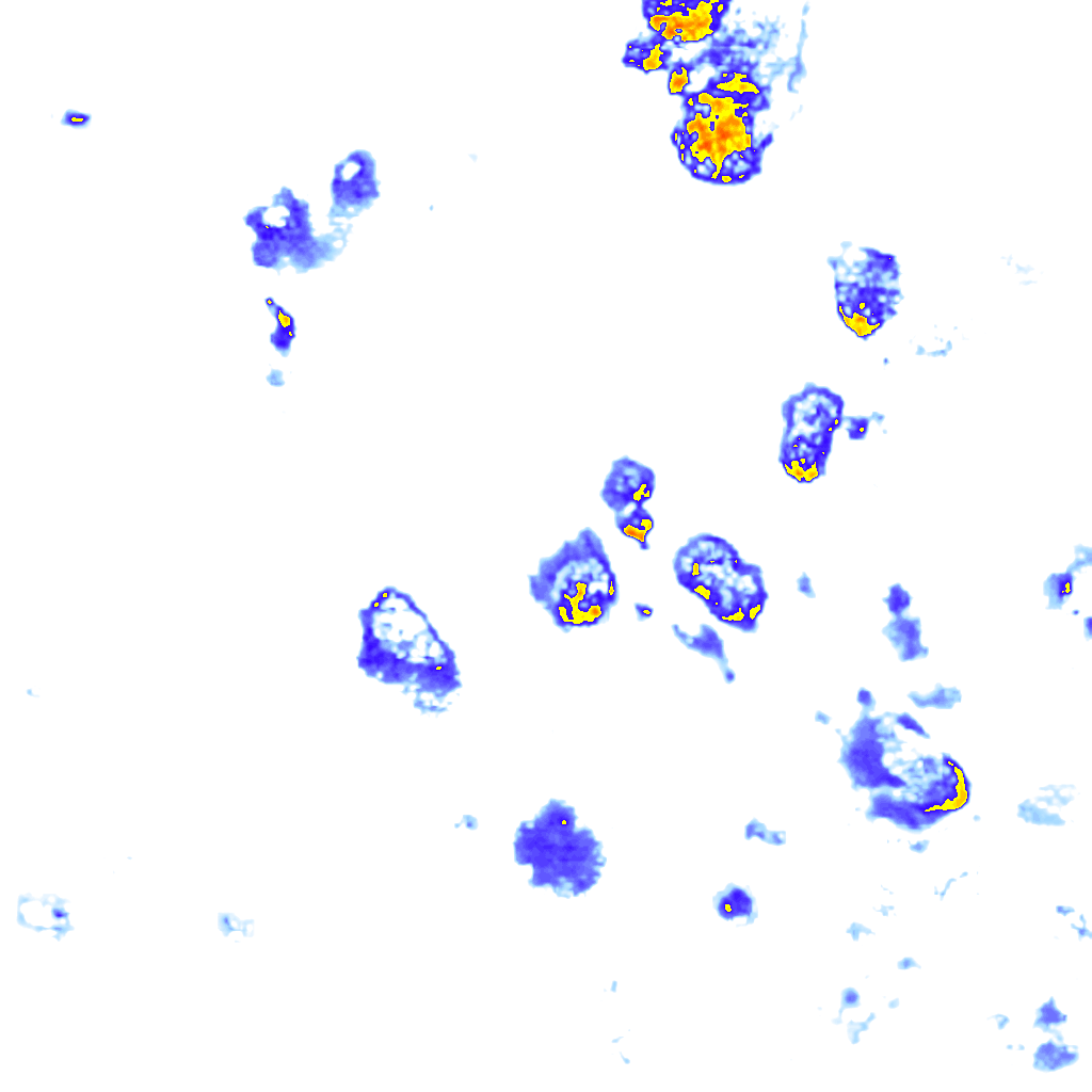 rainLayer