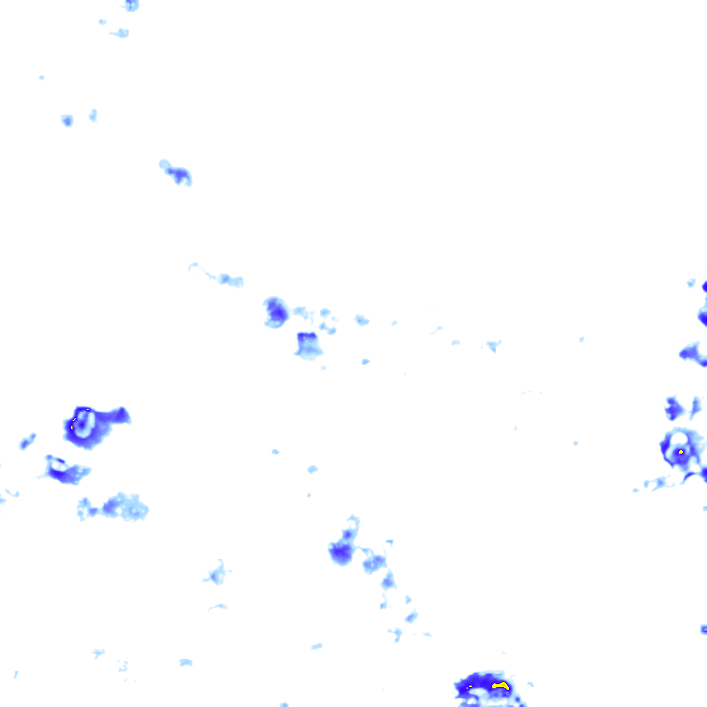 rainLayer