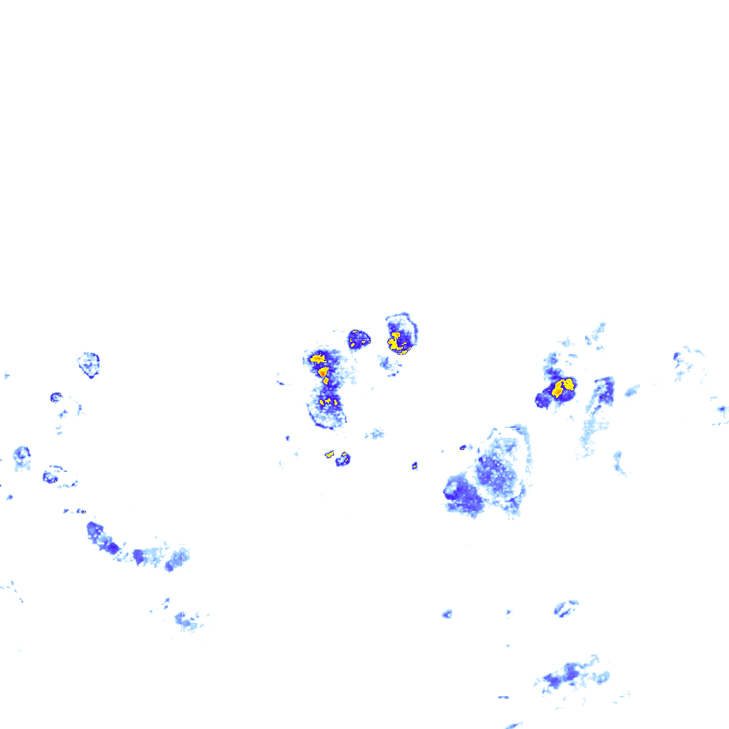rainLayer