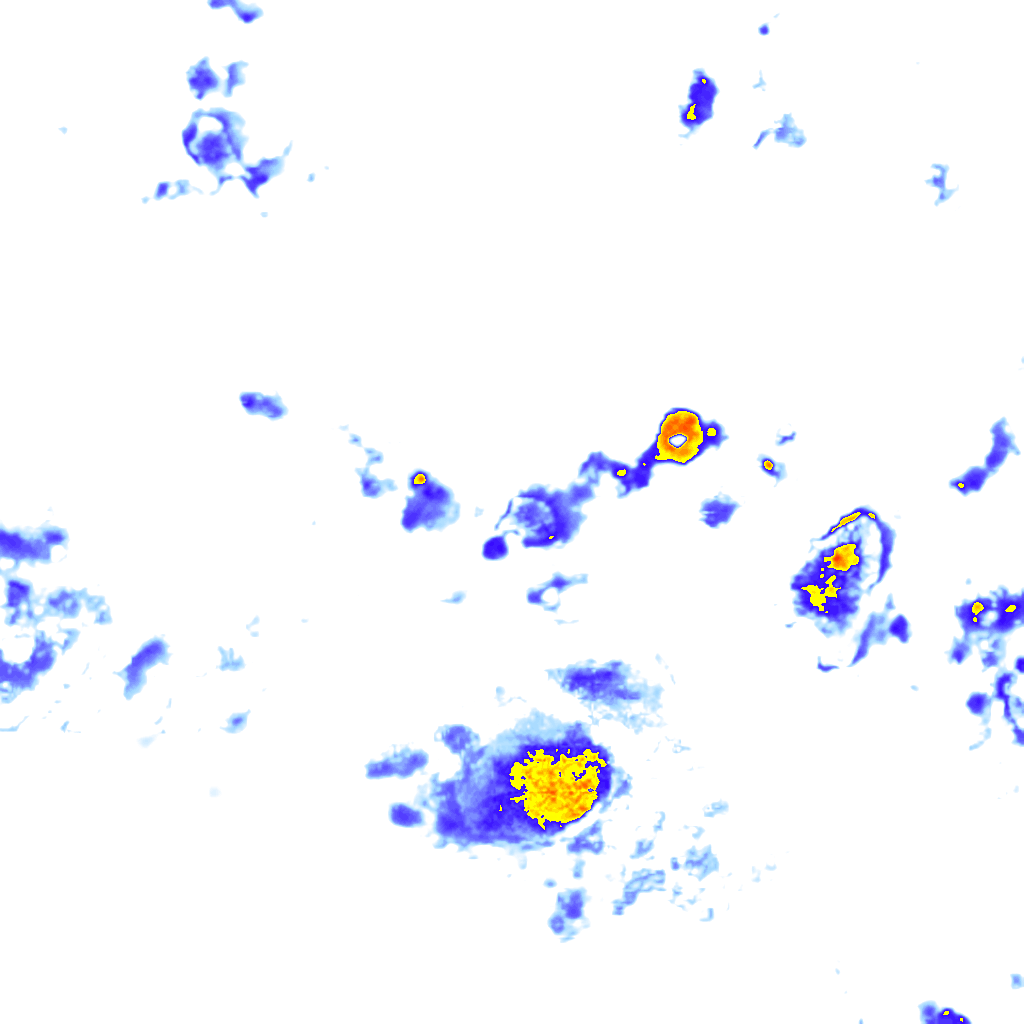 Image Layer