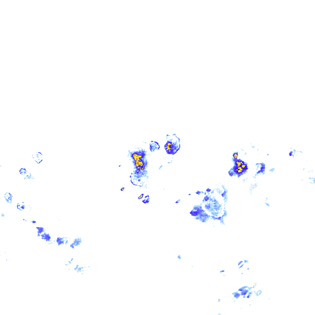 rainLayer