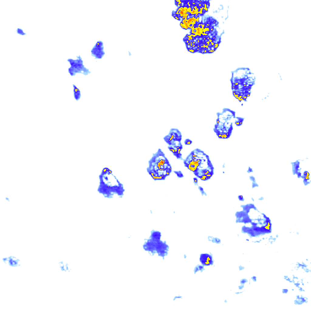 Image Layer