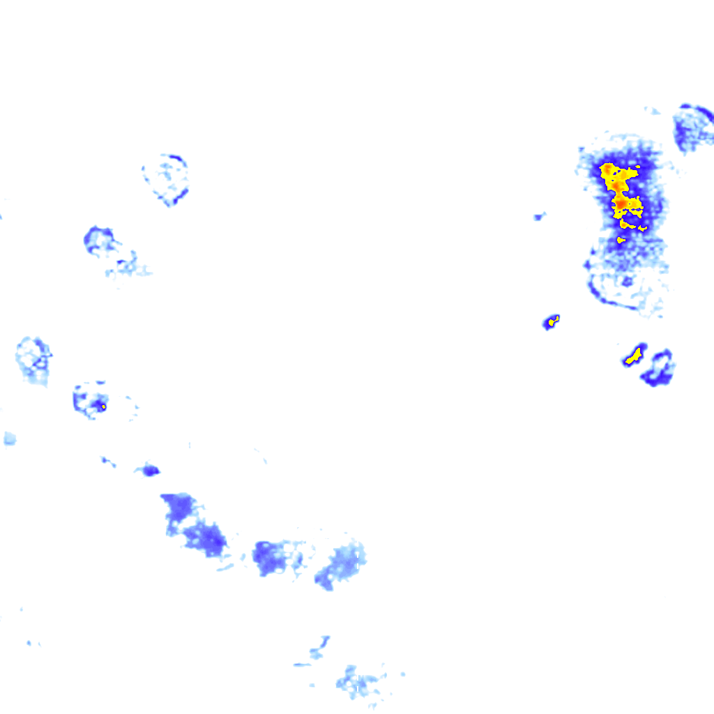 rainLayer