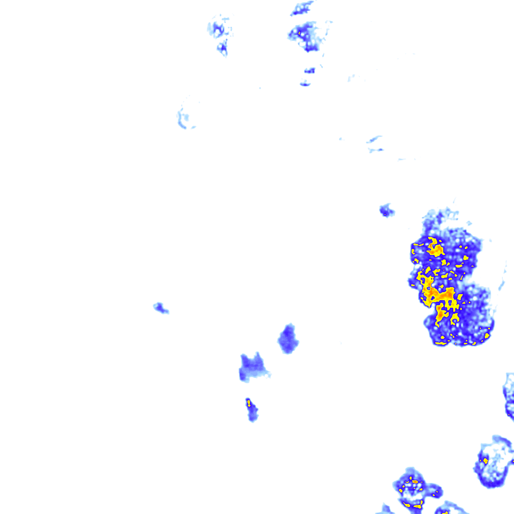 rainLayer