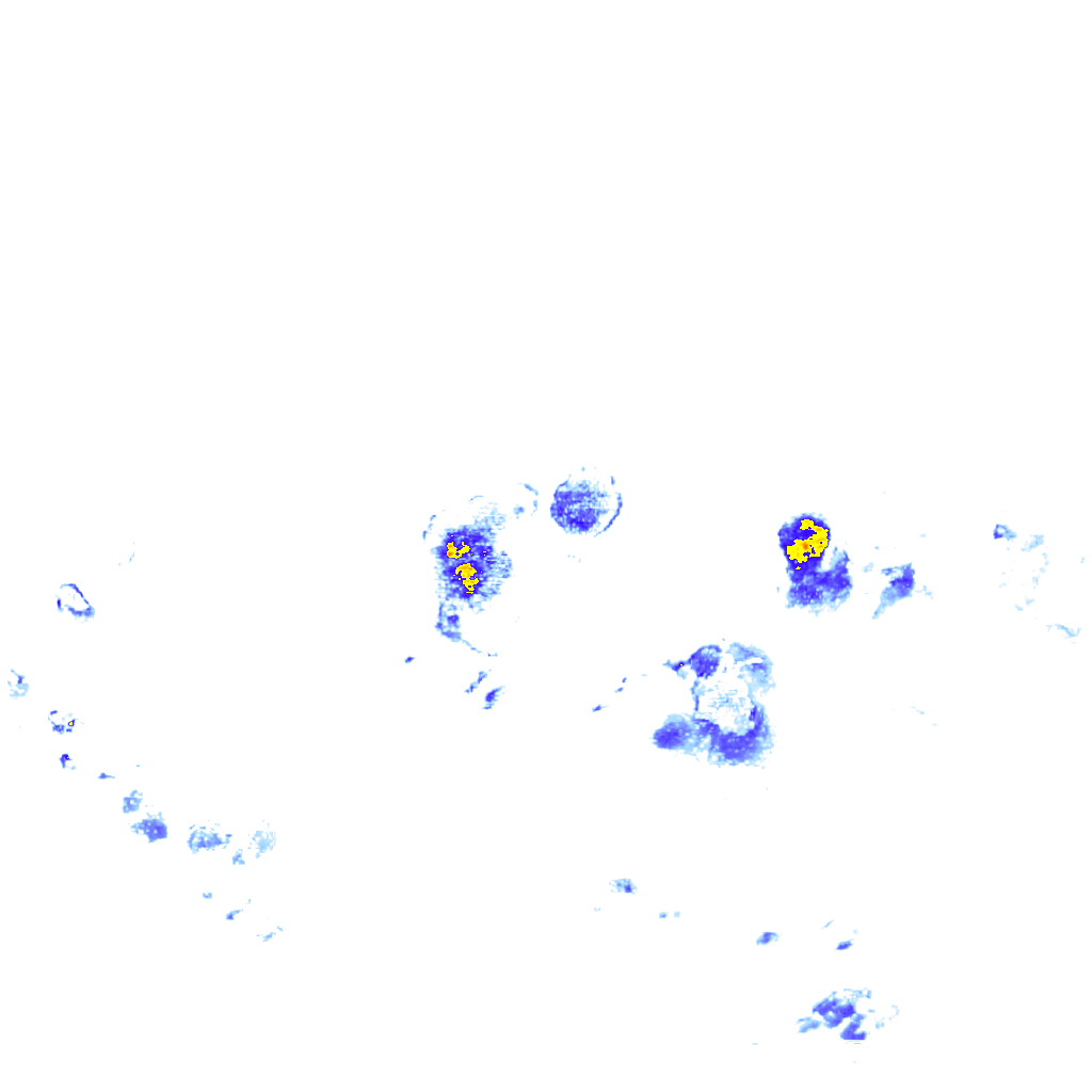 rainLayer