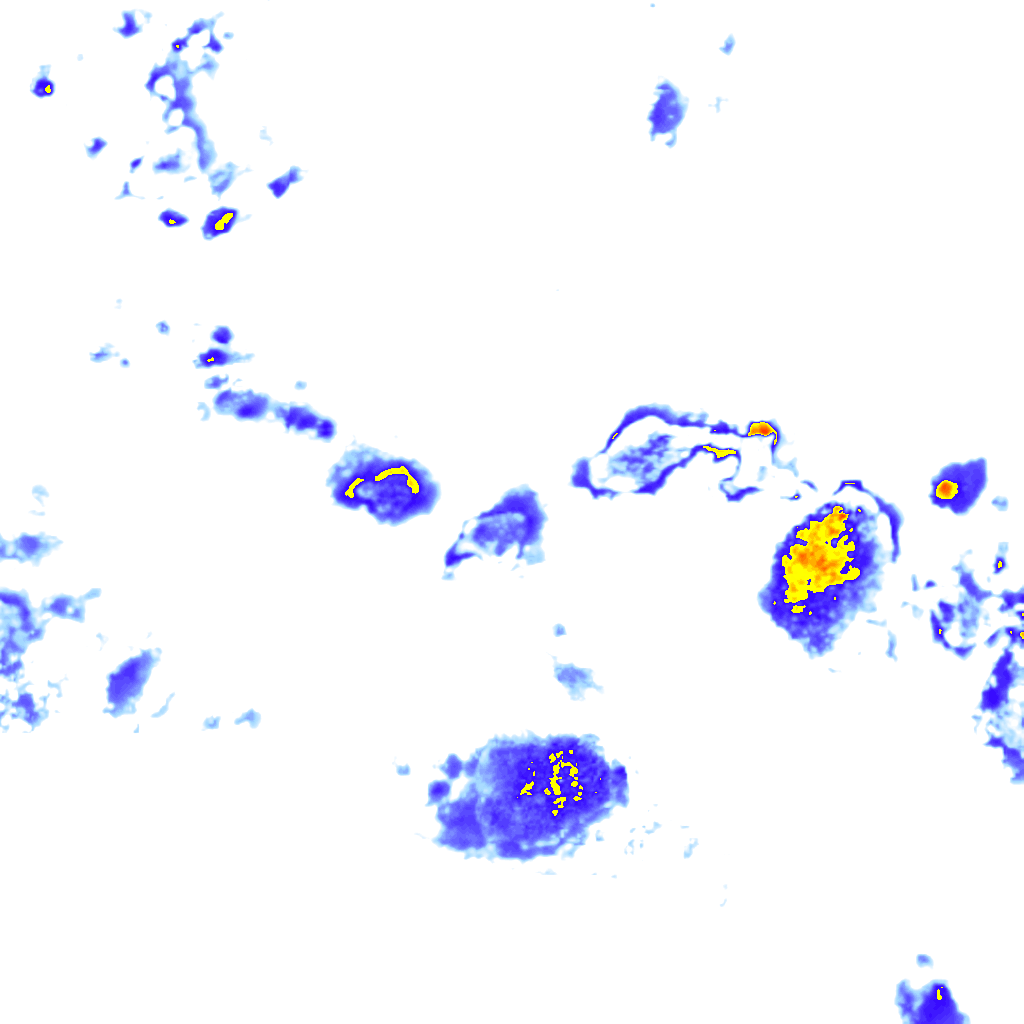 rainLayer