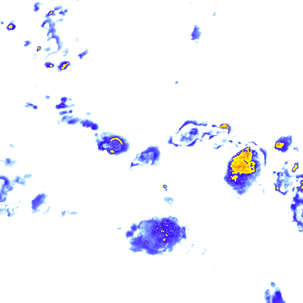 Image Layer