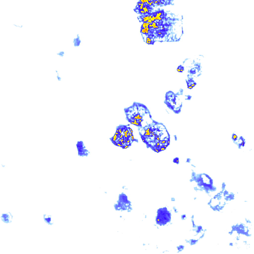 rainLayer