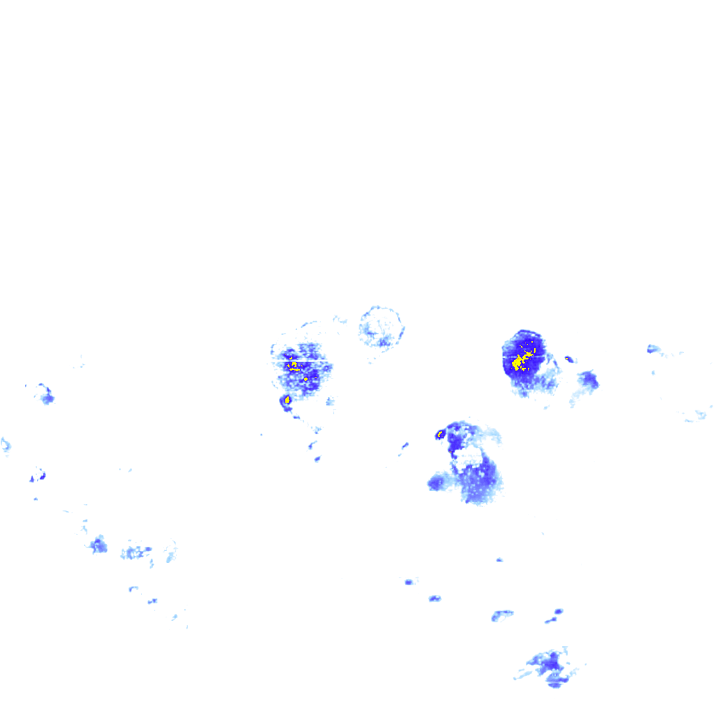 rainLayer