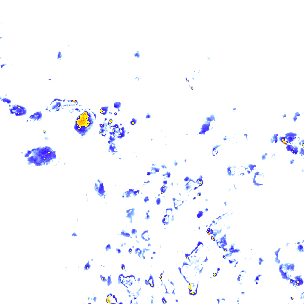 rainLayer