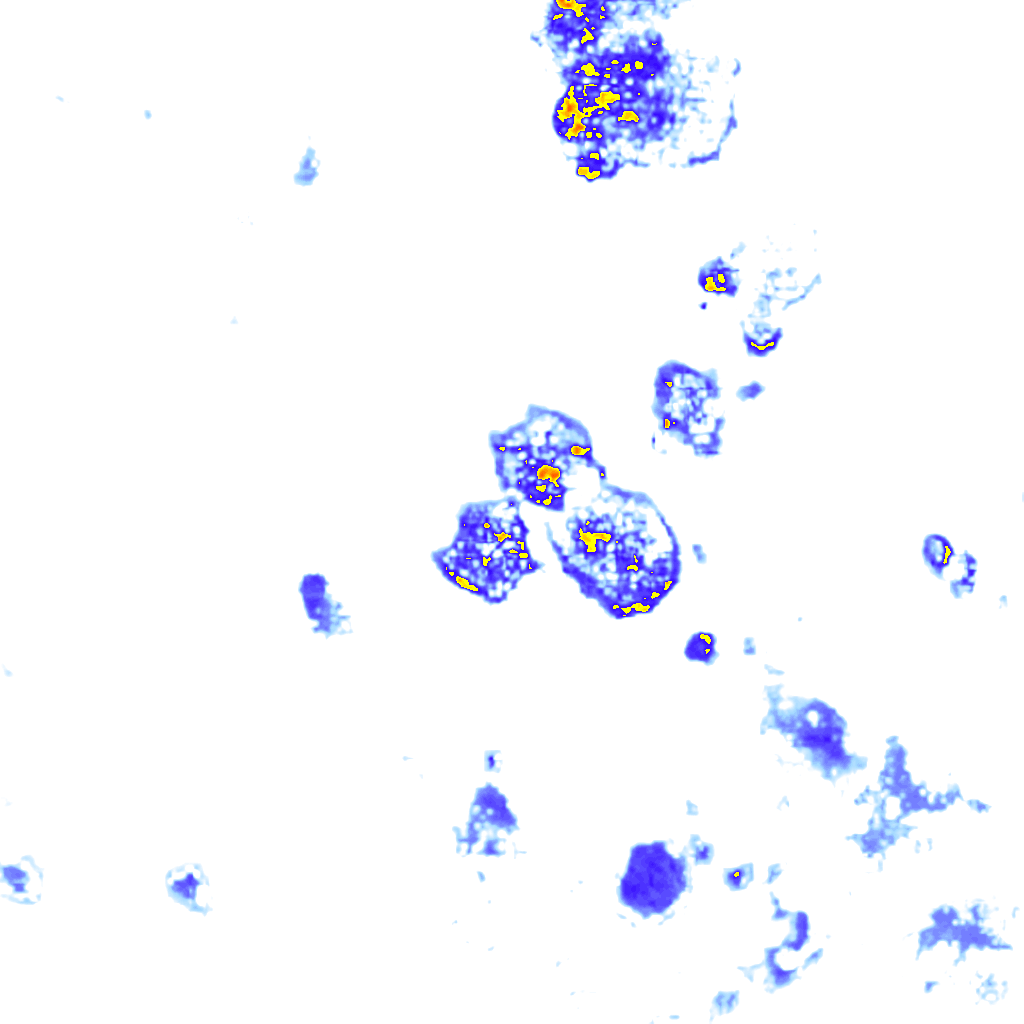 Image Layer