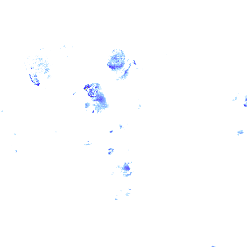 rainLayer