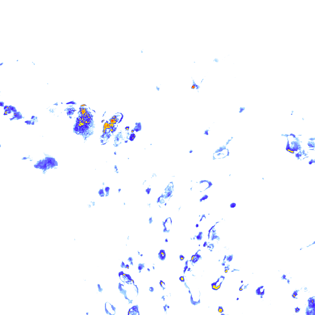 rainLayer