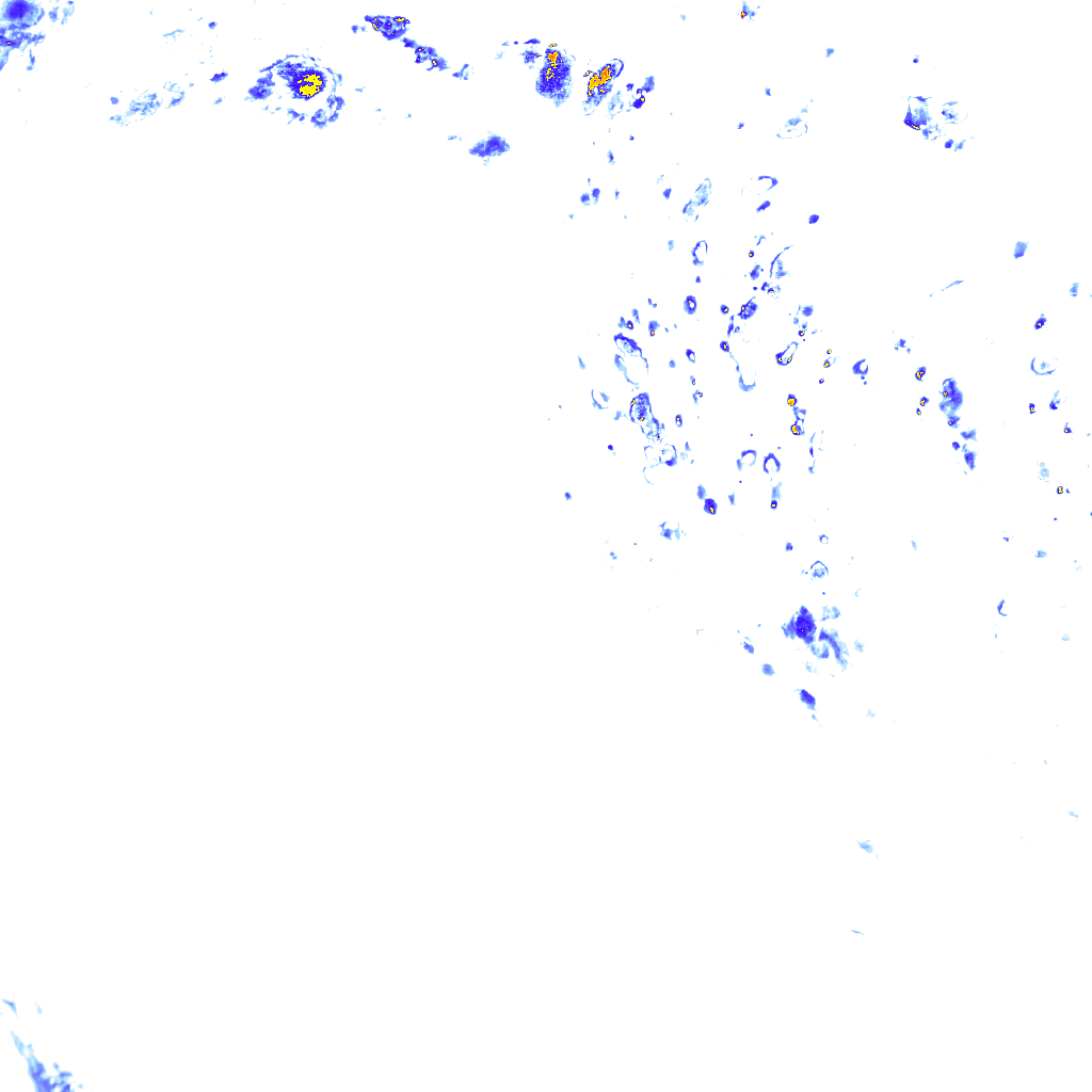 rainLayer