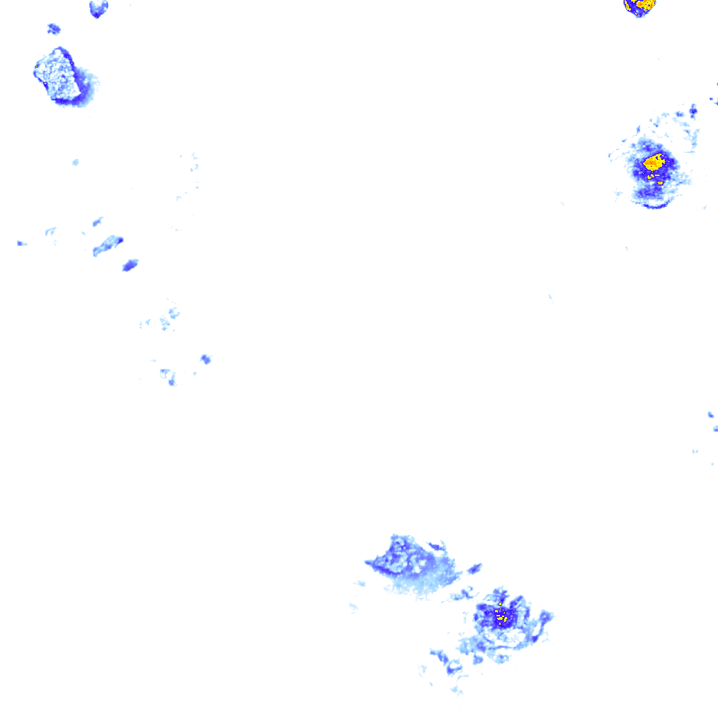 rainLayer