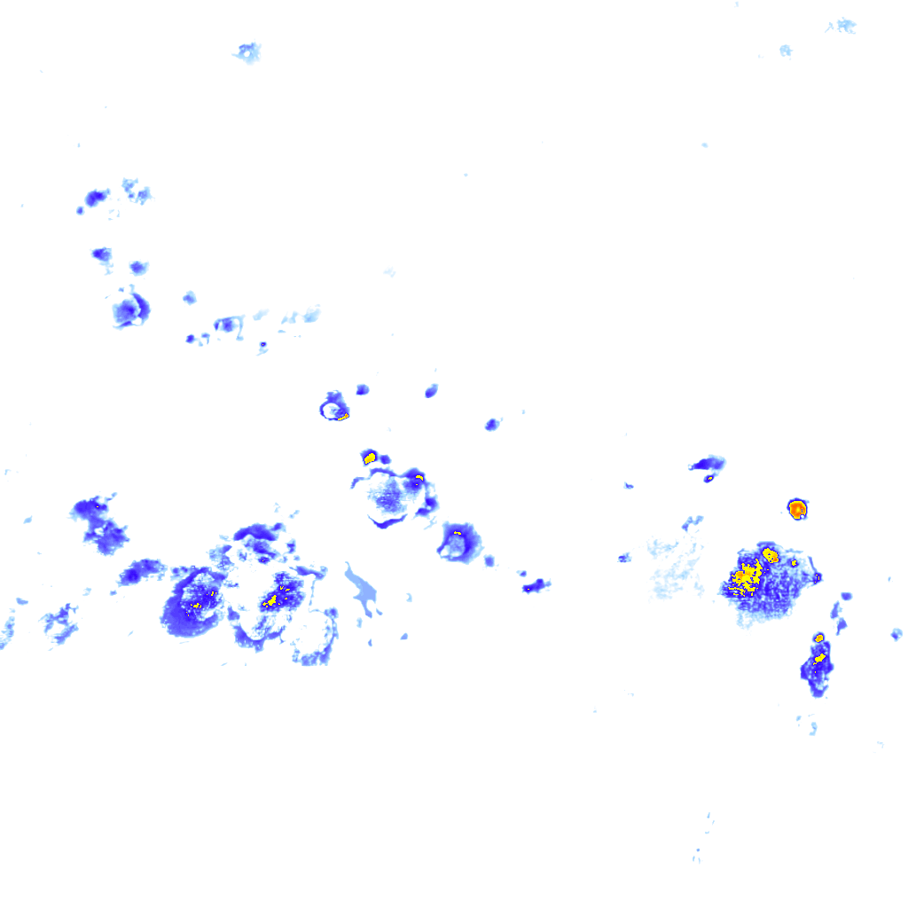 rainLayer