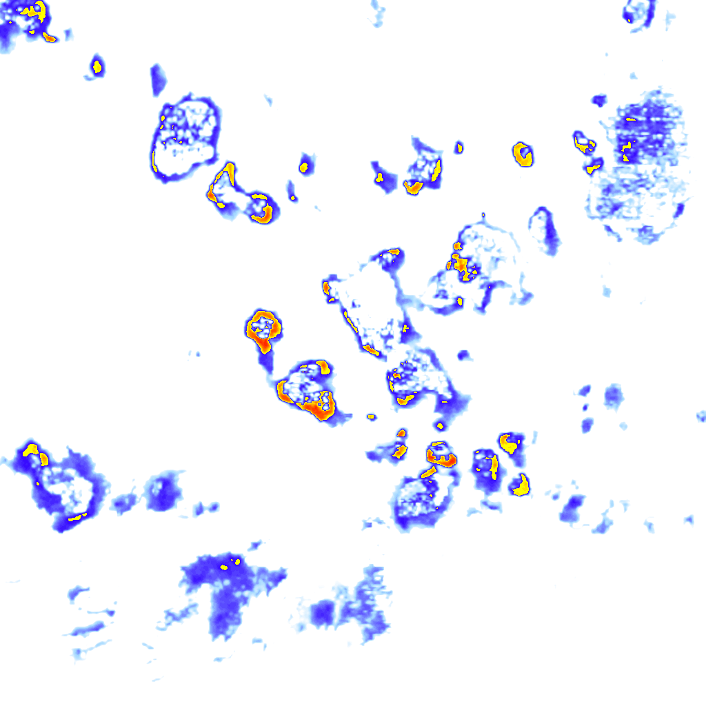 Image Layer