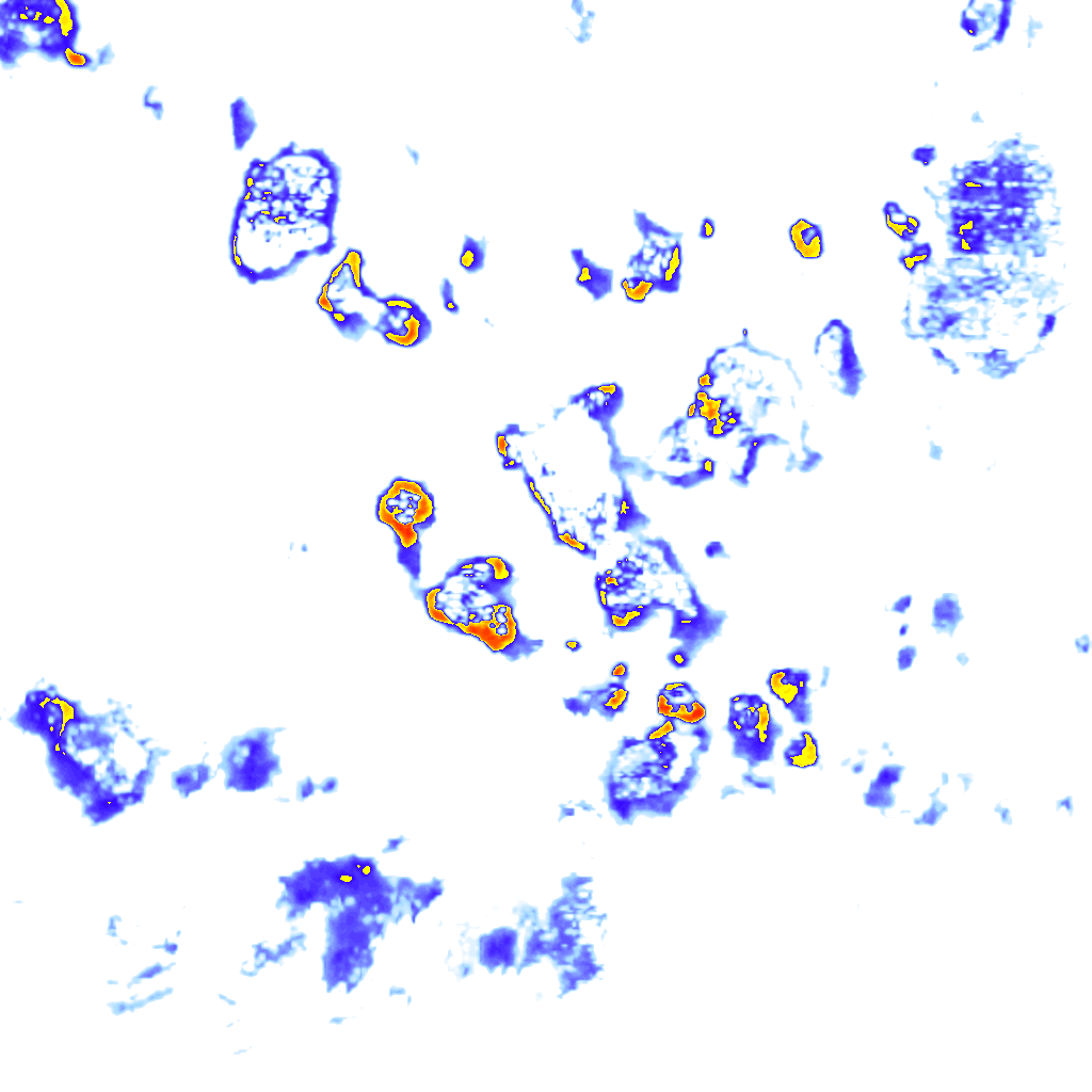 Image Layer